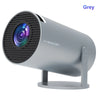 Hy300-Grey (201441170_201447605)